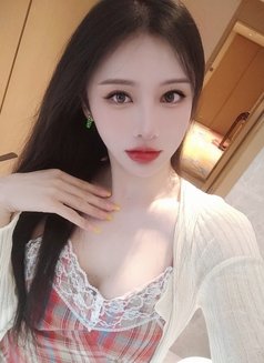 Ladyboy Lucky2 - Transsexual escort agency in Shenzhen Photo 14 of 14