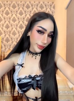 Ladyboy Massage Alain - Transsexual escort in Al Ain Photo 19 of 20