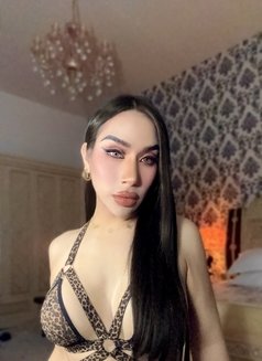 Ladyboy Massage Alain - Transsexual escort in Al Ain Photo 4 of 9