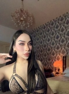 Ladyboy Massage Alain - Transsexual escort in Al Ain Photo 6 of 23