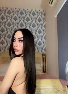 Ladyboy Massage Alain - Acompañantes transexual in Al Ain Photo 9 of 23