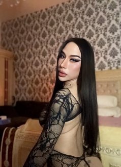 Ladyboy Massage Alain - Acompañantes transexual in Al Ain Photo 18 of 23