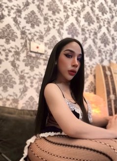 Ladyboy Massage Alain - Transsexual escort in Al Ain Photo 16 of 30