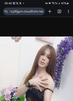 Ladyboy Massage Big Vip - masseuse in Bangkok Photo 9 of 9