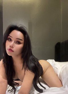 Ladyboy Massage (MARIYA) - Transsexual escort in Riyadh Photo 3 of 6