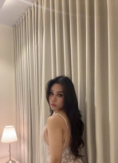 Ladyboy Massage (MARIYA) - Transsexual escort in Riyadh Photo 7 of 7