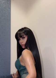 Ladyboy Massage (MARIYA) - Acompañantes transexual in Riyadh Photo 1 of 10