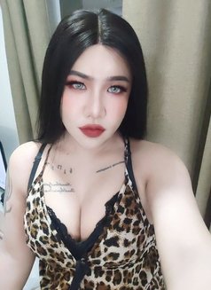 Ladyboy Massage Muscat - Male escort in Muscat Photo 21 of 22