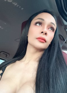 Ladyboy Maya from Thailand 🇹🇭 - Transsexual escort in Al Manama Photo 16 of 17