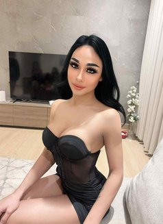 Ladyboy Maya from Thailand 🇹🇭 - Transsexual escort in Al Manama Photo 7 of 7
