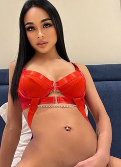 Ladyboy Maya from Thailand 🇹🇭 - Acompañantes transexual in Riyadh Photo 13 of 13