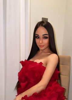 Ladyboy Maya - Transsexual escort in Jeddah Photo 9 of 12