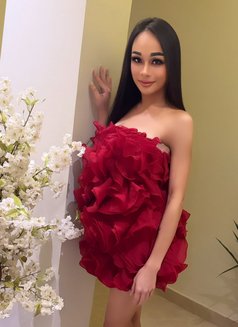 Ladyboy Maya - Transsexual escort in Jeddah Photo 11 of 12