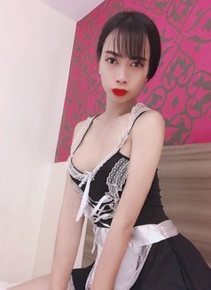 Ladyboy Milin - Acompañantes transexual in Taipei Photo 4 of 8