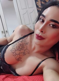 Ladyboy Mistress Ajman - Transsexual escort in Ajmān Photo 6 of 15