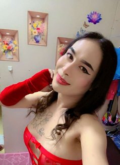 Ladyboy Mistress Ajman - Transsexual escort in Ajmān Photo 7 of 15
