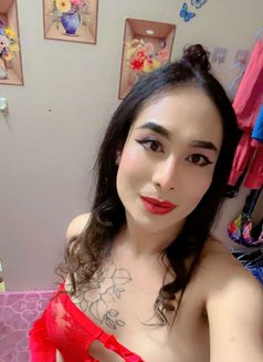 Ladyboy Mistress Ajman - Transsexual escort in Ajmān Photo 11 of 15
