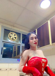 Ladyboy Mistress Ajman - Transsexual escort in Ajmān Photo 13 of 15