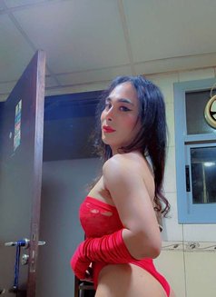 Ladyboy Mistress Ajman - Transsexual escort in Ajmān Photo 14 of 15