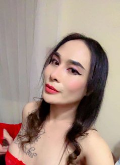 Ladyboy Mistress Ajman - Transsexual escort in Ajmān Photo 15 of 15