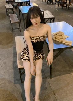 Ladyboy Muscat - Transsexual escort in Muscat Photo 4 of 7