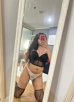 Ladyboy Napa - escort in Phuket Photo 3 of 12