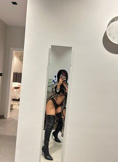Ladyboy Napa - escort in Phuket Photo 11 of 12