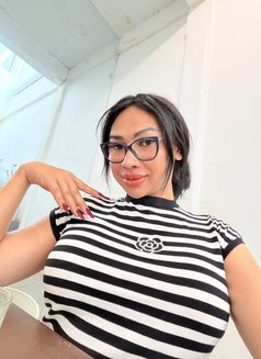 Ladyboy Napa - escort in Phuket Photo 15 of 16