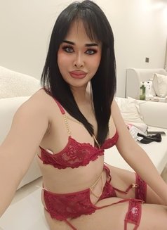 Ladyboy new in riyadh - Acompañantes transexual in Riyadh Photo 2 of 5