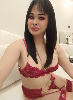 Ladyboy new in riyadh - Acompañantes transexual in Riyadh Photo 4 of 5