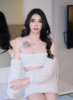 Ladyboy New in - masseuse in Doha Photo 13 of 18