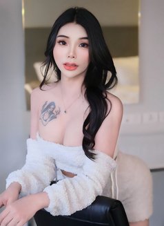 Ladyboy New in - masseuse in Doha Photo 14 of 18