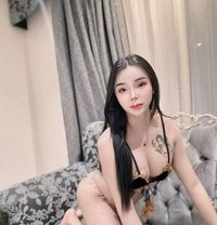 Ladyboy New in - masseuse in Doha Photo 19 of 21