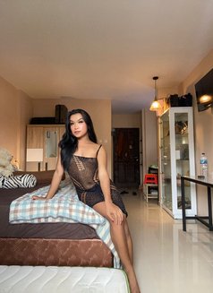 Mariam bottom and Sucking - Transsexual escort in Bali Photo 4 of 5