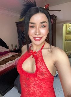 Ladyboy Nicole BKK6. - Acompañantes transexual in Al Ain Photo 4 of 7