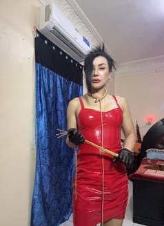 Ladyboy Nicole BKK6. - Acompañantes transexual in Al Ain Photo 5 of 7