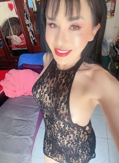Ladyboy Nicole BKK6. - Transsexual escort in Al Ain Photo 5 of 6