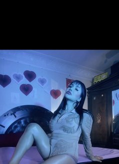 Ladyboy Nicole BKK6. - Transsexual escort in Al Ain Photo 9 of 9