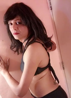 Ladyboy Renee - Agencia de acompañantes transexuales in Mumbai Photo 5 of 19