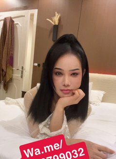 Ladyboy Riyadh - Transsexual escort in Riyadh Photo 3 of 12