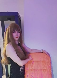 Cwb Sally - Transsexual escort in Hong Kong Photo 14 of 20