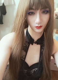 Cwb Sally - Transsexual escort in Hong Kong Photo 15 of 20