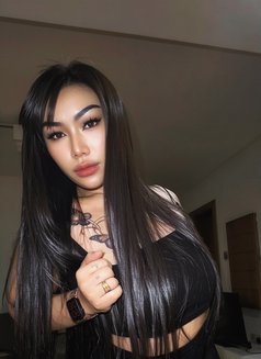 Ladyboy Sexy my name Nabi 69 🇹🇭🇧🇭 - masseuse in Al Manama Photo 12 of 14