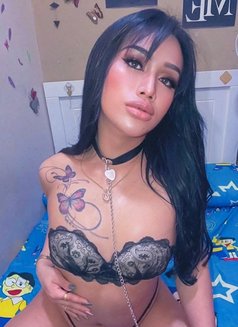 Ladyboy Sexy my name Nabi 69 🇹🇭🇧🇭 - masseuse in Al Manama Photo 1 of 14