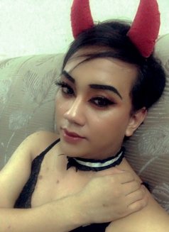 Ladyboy 69 🇹🇭🇴🇲 @sohar - Transsexual escort agency in Al Sohar Photo 3 of 17