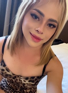 Ladyboy Sweetmicca - Transsexual escort in Manila Photo 10 of 11