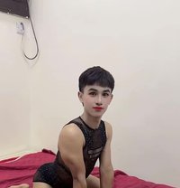 Ladyboy - Transsexual escort in Al Sohar