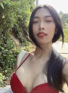 Ladyboy - Transsexual escort in Bangkok Photo 1 of 3