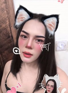 Ladyboy - Transsexual escort in Muscat Photo 5 of 6