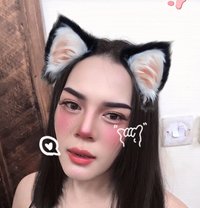 Ladyboy - Transsexual escort in Al Sohar